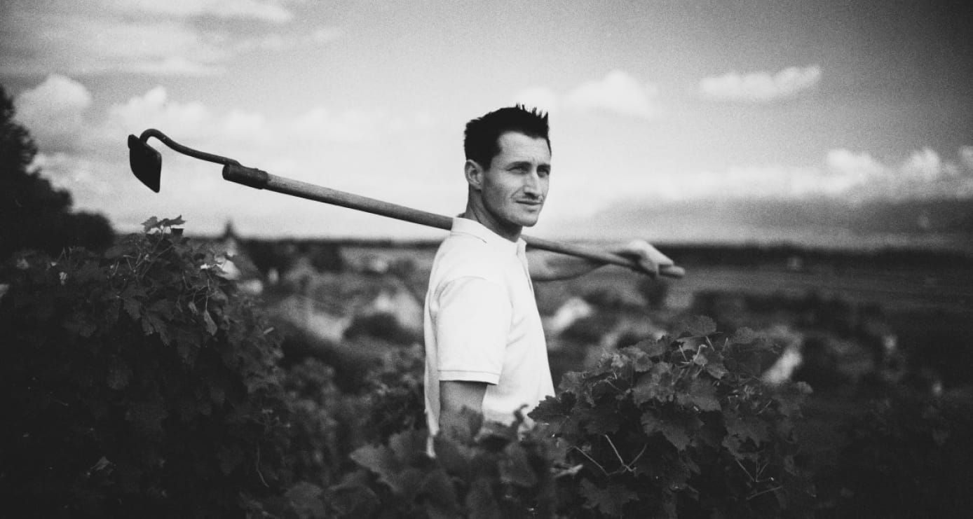 Celui qui fait parler le raisin