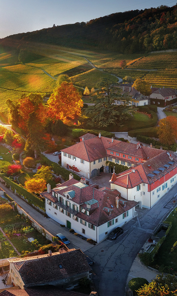 un terroir qui a tant à raconter